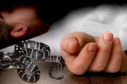 Whatsapp Image 2025 10 08 At 6.14.29 Pm.jpeg