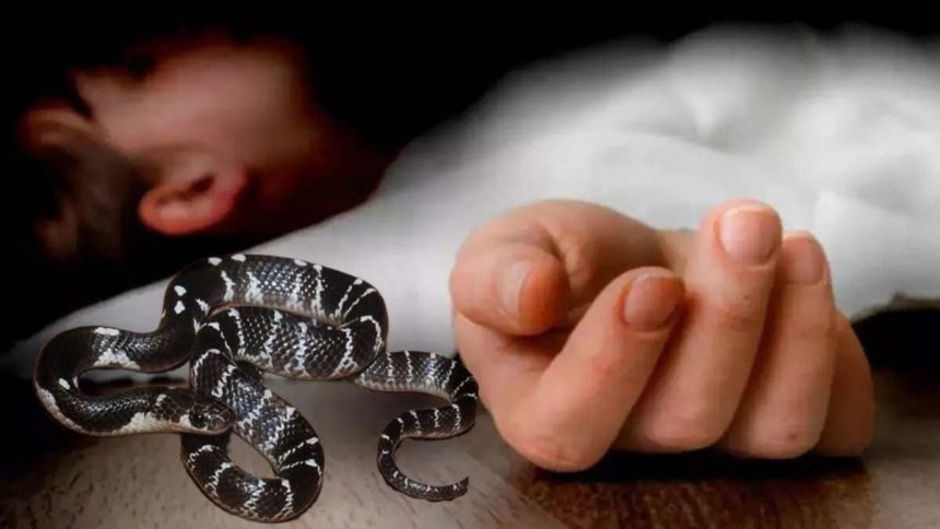 Whatsapp Image 2025 10 08 At 6.14.29 Pm.jpeg