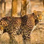 Whatsapp Image 2025 10 08 At 8.59.30 Pm.jpeg