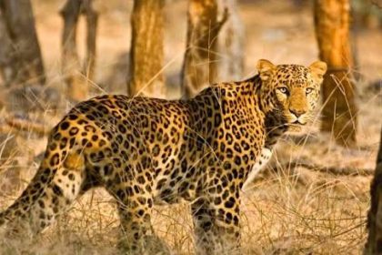 Whatsapp Image 2025 10 08 At 8.59.30 Pm.jpeg