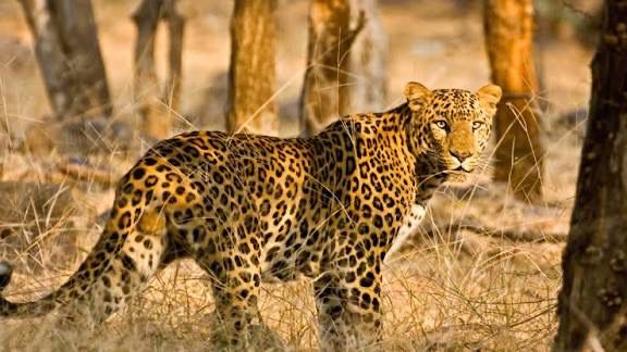 Whatsapp Image 2025 10 08 At 8.59.30 Pm.jpeg