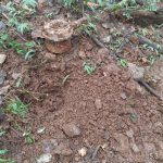 Whatsapp Image 2025 10 09 At 8.34.00 Pm.jpeg