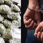 Whatsapp Image 2025 10 11 At 10.06.30 Pm.jpeg