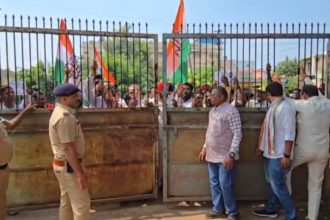 Whatsapp Image 2025 10 13 At 3.52.41 Pm.jpeg