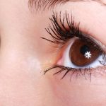 Whatsapp Image 2025 10 26 At 7.27.44 Pm.jpeg