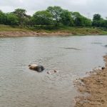 Whatsapp Image 2025 10 29 At 6.05.18 Pm.jpeg