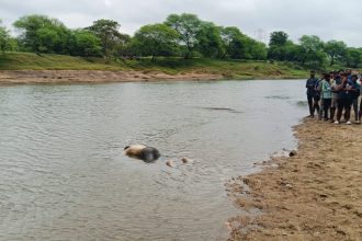 Whatsapp Image 2025 10 29 At 6.05.18 Pm.jpeg