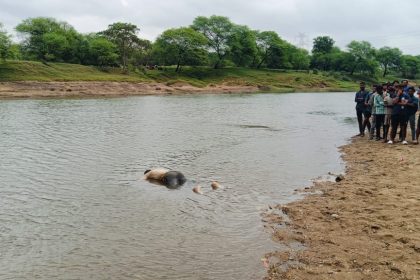 Whatsapp Image 2025 10 29 At 6.05.18 Pm.jpeg