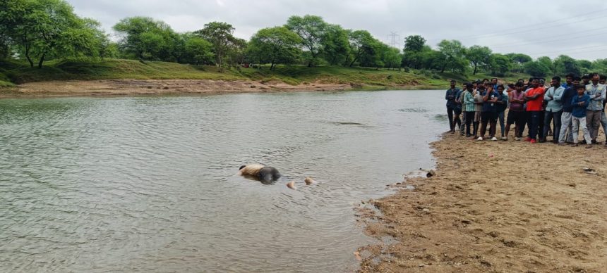 Whatsapp Image 2025 10 29 At 6.05.18 Pm.jpeg