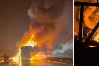 News Image 176128450824 10 2025 11 11 48.webp.webp