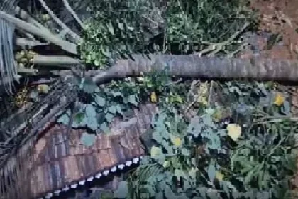 News Image 176146665826 10 2025 13 47 38.webp.webp