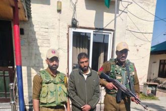 4982900 Untitled 8 Copy.jpg