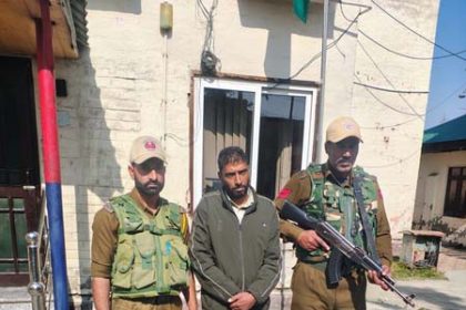 4982900 Untitled 8 Copy.jpg