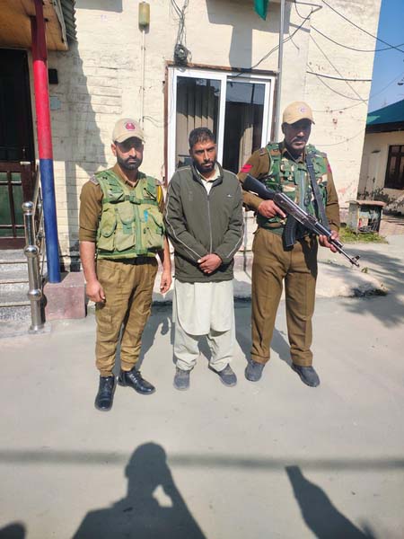 4982900 Untitled 8 Copy.jpg