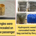 4995288 Untitled 81 Copy.jpg