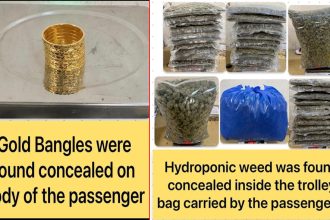 4995288 Untitled 81 Copy.jpg