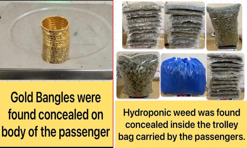 4995288 Untitled 81 Copy.jpg