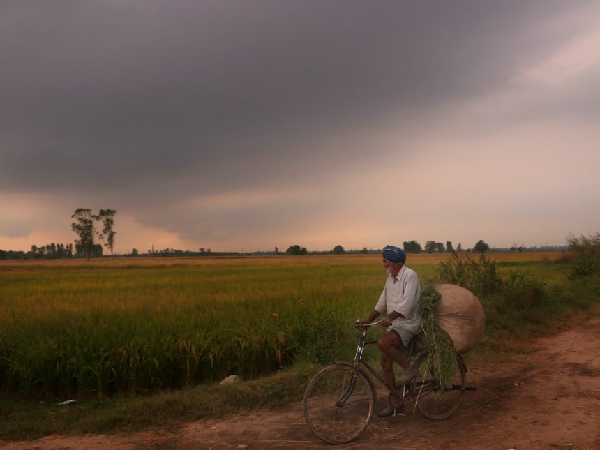 4998880 Ani 20251108171007.jpg