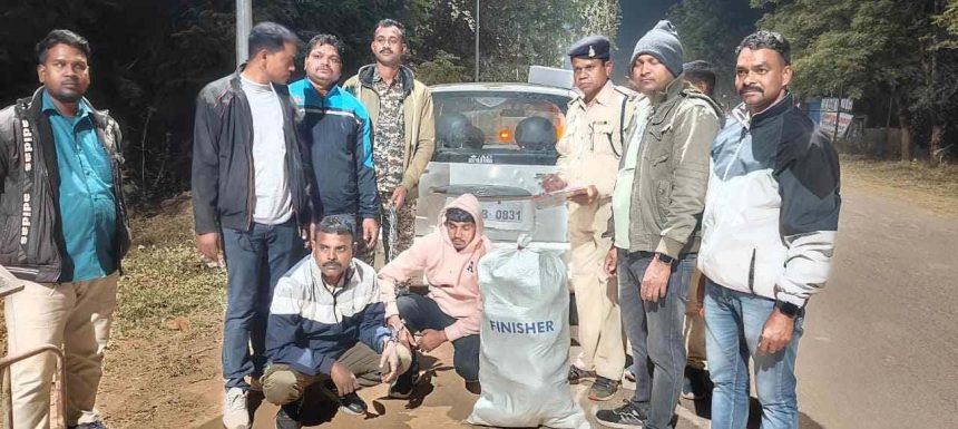 5011325 Untitled 51 Copy.jpg