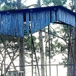 5021517 Untitled 21 Copy.jpg