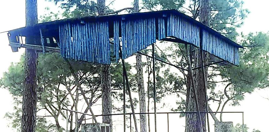 5021517 Untitled 21 Copy.jpg