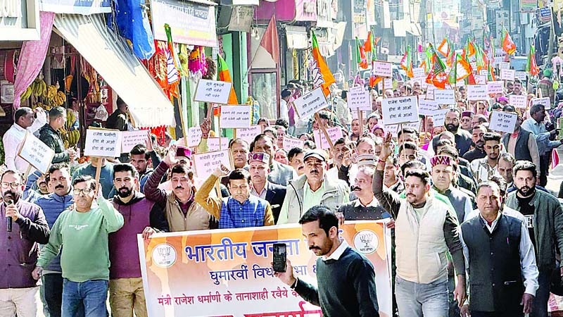 5021525 Untitled 23 Copy.jpg