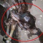 5036196 Untitled 2 Copy.jpg