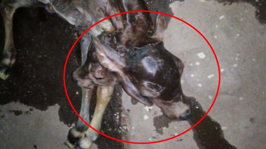 5036196 Untitled 2 Copy.jpg