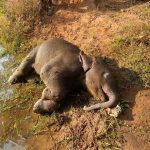 5036263 Untitled 5 Copy.jpg