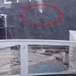 5037522 Untitled 80 Copy.jpg