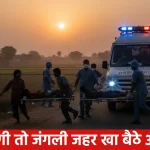 Bihar Election 2025 6 2.jpg