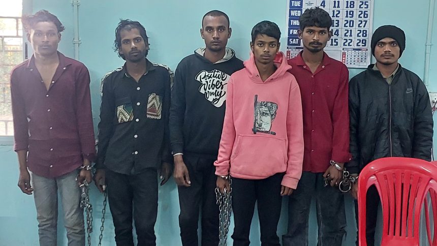 Img 20251120 Wa0012(1)