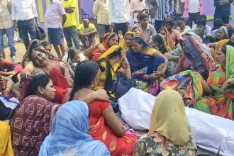 Img 20251109 153654.jpg