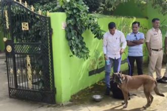 Whatsapp Image 2025 11 05 At 1.46.37 Pm.jpeg