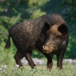 Whatsapp Image 2025 11 23 At 10.56.38 Am.jpeg