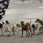 Whatsapp Image 2025 11 24 At 4.25.57 Pm.jpeg