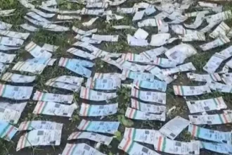 News Image 176235687205 11 2025 21 04 32.webp.webp