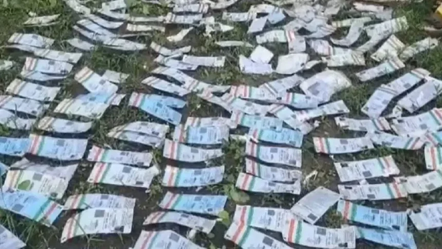 News Image 176235687205 11 2025 21 04 32.webp.webp