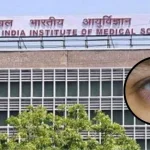 News Image 176244510906 11 2025 21 35 09.webp.webp