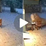 News Image 176253128307 11 2025 21 31 23.webp.webp