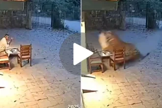 News Image 176253128307 11 2025 21 31 23.webp.webp