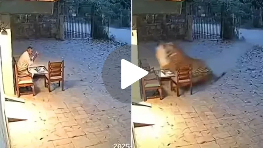 News Image 176253128307 11 2025 21 31 23.webp.webp