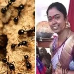 News Image 176261911508 11 2025 21 55 15.webp.webp