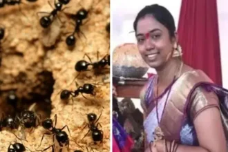 News Image 176261911508 11 2025 21 55 15.webp.webp