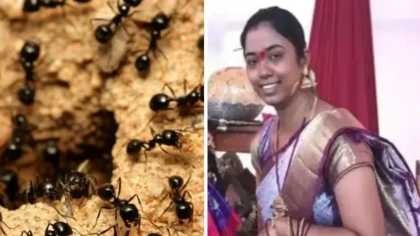 News Image 176261911508 11 2025 21 55 15.webp.webp