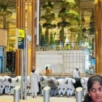 News Image 176275429810 11 2025 11 28 18.webp.webp