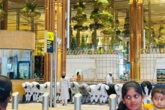 News Image 176275429810 11 2025 11 28 18.webp.webp