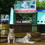 5051047 Untitled 9 Copy.jpg