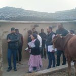 5087683 Untitled 56 Copy.jpg