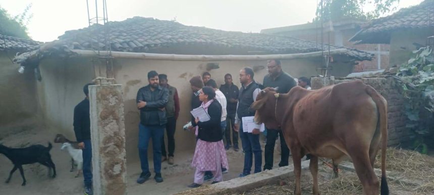 5087683 Untitled 56 Copy.jpg